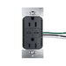 Pass and Seymour Radiant 65W USB Outlet Type C 15A Tamper-Resistant Graphite (R26USBPD65GCC6)