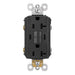Pass and Seymour Self-Test GFCI Receptacle Tamper-Resistant Weather-Resistant 20A With USB/C Charging Black (2097TRWRUSBCCBK)