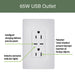 Pass and Seymour Radiant 65W Power Delivery USB Outlet Tamper-Resistant Duplex 15A Ivory (R26USBPD65I)