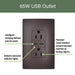 Pass and Seymour Radiant 65W Power Delivery USB Outlet Tamper-Resistant Duplex 15A Brown (R26USBPD65)