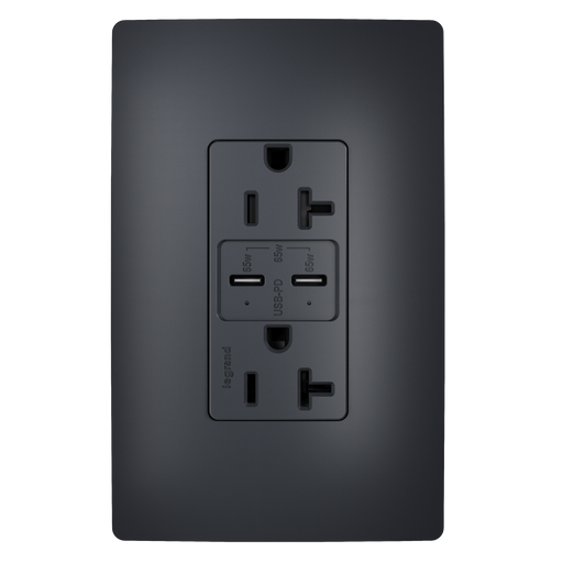 Pass and Seymour 65W Power Delivery USB Outlet Type C Tamper-Resistant Duplex 20A Graphite (TR20USBPD65G)