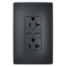 Pass and Seymour 65W Power Delivery USB Outlet Type C Tamper-Resistant Duplex 20A Graphite (TR20USBPD65G)