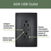 Pass and Seymour Radiant 65W Power Delivery USB Outlet Tamper-Resistant Duplex 15A Black (R26USBPD65BK)