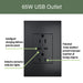 Pass and Seymour Adorne 65W USB Outlet Plus-Size Type C 15A Tamper-Resistant Graphite (ARTRUSB15PD65G4)