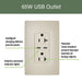 Pass and Seymour 65W Power Delivery USB Outlet Type C Tamper-Resistant Duplex 20A Ivory (TR20USBPD65I)