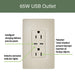 Pass and Seymour Radiant 65W Power Delivery USB Outlet Tamper-Resistant Duplex 15A Ivory (R26USBPD65I)