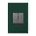 Pass and Seymour Adorne Wall Plate Painted Plastic 1G2 Evergreen (AWP1G2EG)