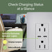 Pass and Seymour Radiant 65W Power Delivery USB Outlet Tamper-Resistant Duplex 15A Gray (R26USBPD65GRY)