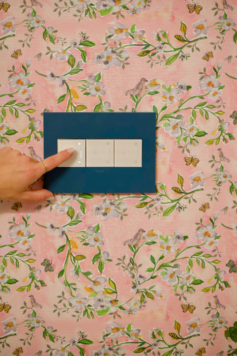 Pass and Seymour Adorne Screwless Wall Plate Painted Plastic 3-Gang Mystic (AWP3GMY)