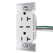 Pass and Seymour 65W Power Delivery USB Outlet Type C Tamper-Resistant Duplex 20A White (TR20USBPD65W)