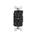 Pass and Seymour Powerhold Duplex Receptacle 15A/125V Black (TR15DVSBK)