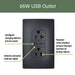 Pass and Seymour 65W Power Delivery USB Outlet Type C Tamper-Resistant Duplex 20A Graphite (TR20USBPD65G)
