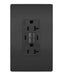 Pass and Seymour Self-Test GFCI Receptacle Tamper-Resistant Weather-Resistant 20A With USB/C Charging Black (2097TRWRUSBCCBK)