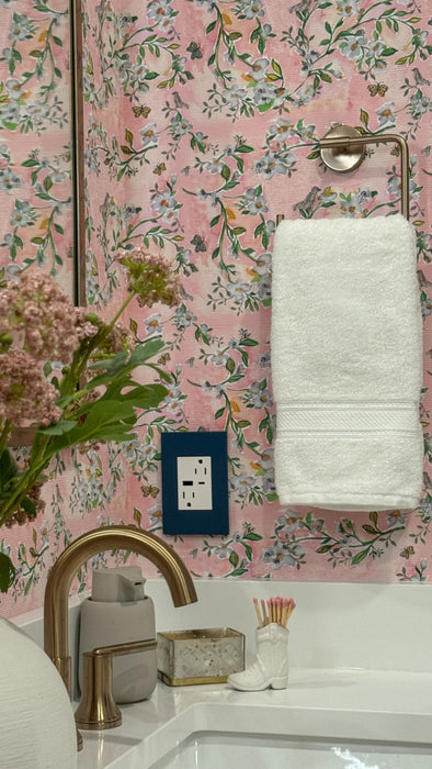 Pass and Seymour Adorne Wall Plate Painted Plastic 1G3 Mystic (AWP1G3MY)