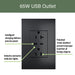 Pass and Seymour Adorne 65W USB Outlet Plus-Size Type C 20A Tamper-Resistant Graphite (ARTRUSB20PD65G4)