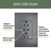 Pass and Seymour Adorne 65W USB Outlet Plus-Size Type C 15A Tamper-Resistant Magnesium (ARTRUSB15PD65M4)