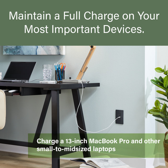 Pass and Seymour Radiant 65W Power Delivery USB Outlet Tamper-Resistant Duplex 15A Black (R26USBPD65BK)