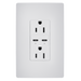 Pass and Seymour Radiant 65W Power Delivery USB Outlet Tamper-Resistant Duplex 15A White (R26USBPD65W)