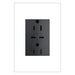 Pass and Seymour Adorne 65W USB Outlet Plus-Size Type C 15A Tamper-Resistant Graphite (ARTRUSB15PD65G4)