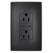 Pass and Seymour Radiant 65W Power Delivery USB Outlet Tamper-Resistant Duplex 15A Black (R26USBPD65BK)