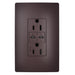 Pass and Seymour Radiant 65W USB Outlet Type C 15A Tamper-Resistant Dark Bronze (R26USBPD65DBCC6)