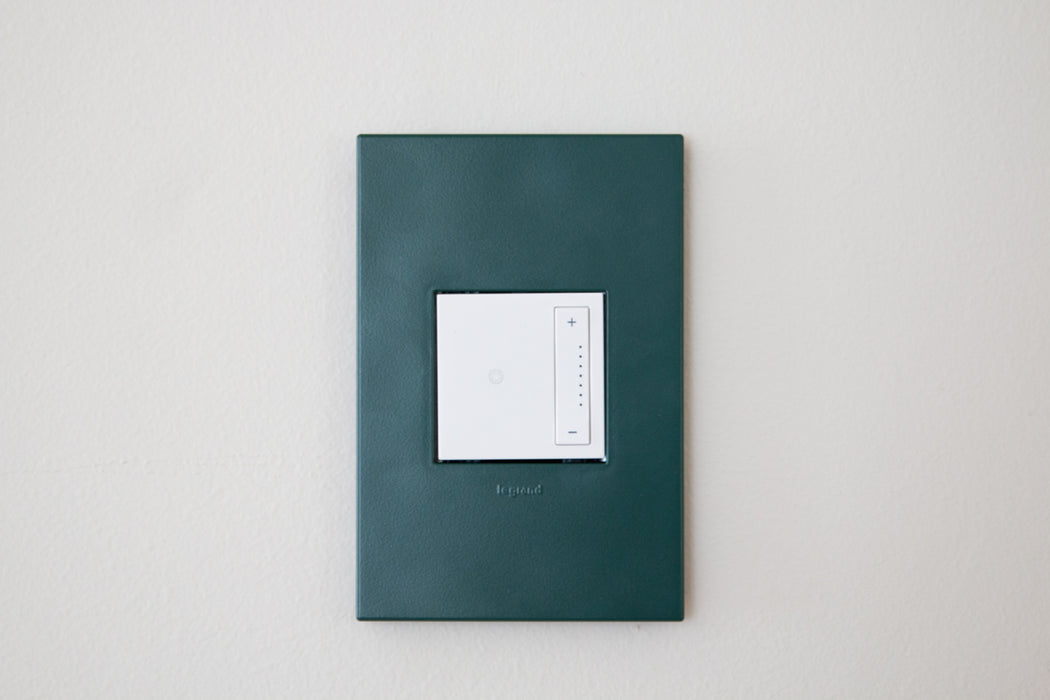 Pass and Seymour Adorne Wall Plate Painted Plastic 1G2 Evergreen (AWP1G2EG)