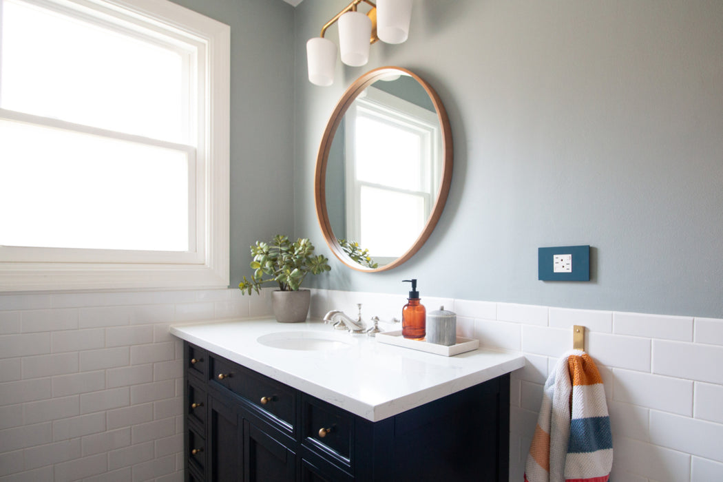 Pass and Seymour Adorne Wall Plate Painted Plastic 1G2 Mystic (AWP1G2MY)