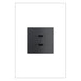Pass and Seymour Adorne 65W USB Outlet Module Type C Graphite (ARUSB65PDG4)
