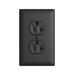 Pass and Seymour Powerhold Duplex Receptacle 20A/125V Black (TR20DVSBK)