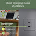 Pass and Seymour Adorne 65W USB Outlet Module Type C Magnesium (ARUSB65PDM4)