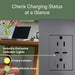 Pass and Seymour Adorne 65W USB Outlet Plus-Size Type C 15A Tamper-Resistant Magnesium (ARTRUSB15PD65M4)
