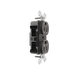 Pass and Seymour Powerhold Duplex Receptacle 15A/125V Brown (TR15DVS)