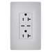 Pass and Seymour 65W Power Delivery USB Outlet Type C Tamper-Resistant Duplex 20A Gray (TR20USBPD65GRY)