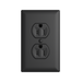 Pass and Seymour Powerhold Duplex Receptacle 15A/125V Black (TR15DVSBK)