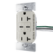 Pass and Seymour 65W Power Delivery USB Outlet Type C Tamper-Resistant Duplex 20A Nickel (TR20USBPD65NI)