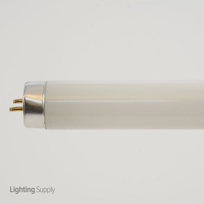 Standard 14W 15 Inch T8 Fluorescent Tube Medium Bi-Pin G13 Base 4100K Cool White 60 CRI (F14T8CW)