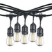 Bulbrite LED11A21/27K/FIL/M/3 11W LED A21 2700K Filament E26 Fully Compatible Dimming Milky White (776618)