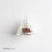 Standard 250W MR16 Halogen 82V Bi-Pin GY5.3 Base Clear Bulb EVW (EVW)