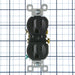 Pass and Seymour Receptacle Tamper-Resistant 15A 125V Back Wire CCA Black (3232TREXBK)