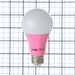 Sunlite A19/3W/P/LED/3PK 3W A19 LED Bulb 140Lm Pink (40453-SU)