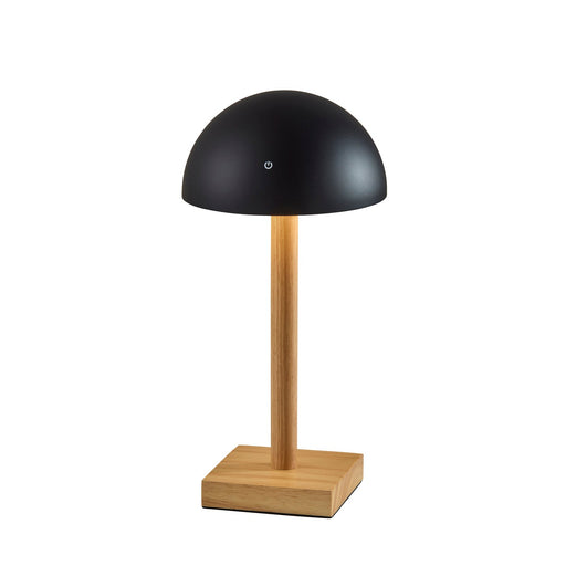 Adesso Nash LED Cordless Table Lamp Black (4065-01)