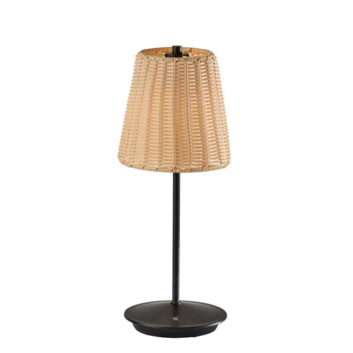 Adesso Andy LED Cordless Table Lamp Black (4074-01)