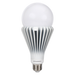 Sylvania LED32HIDRPS25UNV840MED 32W LED HIDr PS25 Lamp Universal Voltage Bollard Retrofit 4000K E26 Medium Base (41040)