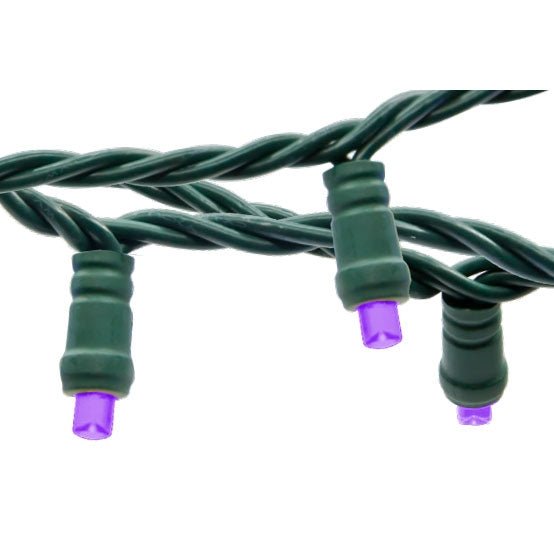 American Lighting LED Light String 25 Foot Length 4.8W 50 LEDs Per String 6 Inch Spacing Green Wire 120V Purple (5mm-50/6-G-PU-S)