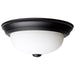 SATCO/NUVO 11 Inch LED Flush Mount Fixture 120V 60W Maximum Matte Black (60-127)