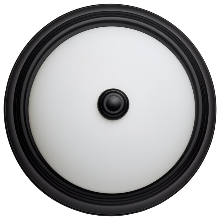 SATCO/NUVO 11 Inch LED Flush Mount Fixture 120V 60W Maximum Matte Black (60-127)