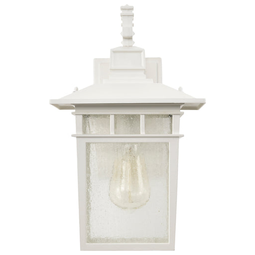 SATCO/NUVO Cove Neck 1-Light 14 Inch Outdoor Lantern With Clear Seed Glass (60-4957)