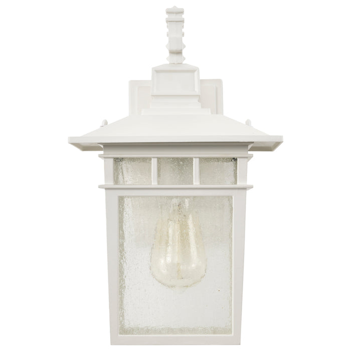 SATCO/NUVO Cove Neck 1-Light 14 Inch Outdoor Lantern With Clear Seed Glass (60-4957)