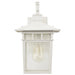 SATCO/NUVO Cove Neck 1-Light 14 Inch Outdoor Lantern With Clear Seed Glass (60-4957)