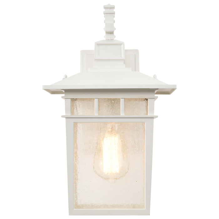 SATCO/NUVO Cove Neck 1-Light 14 Inch Outdoor Lantern With Clear Seed Glass (60-4957)